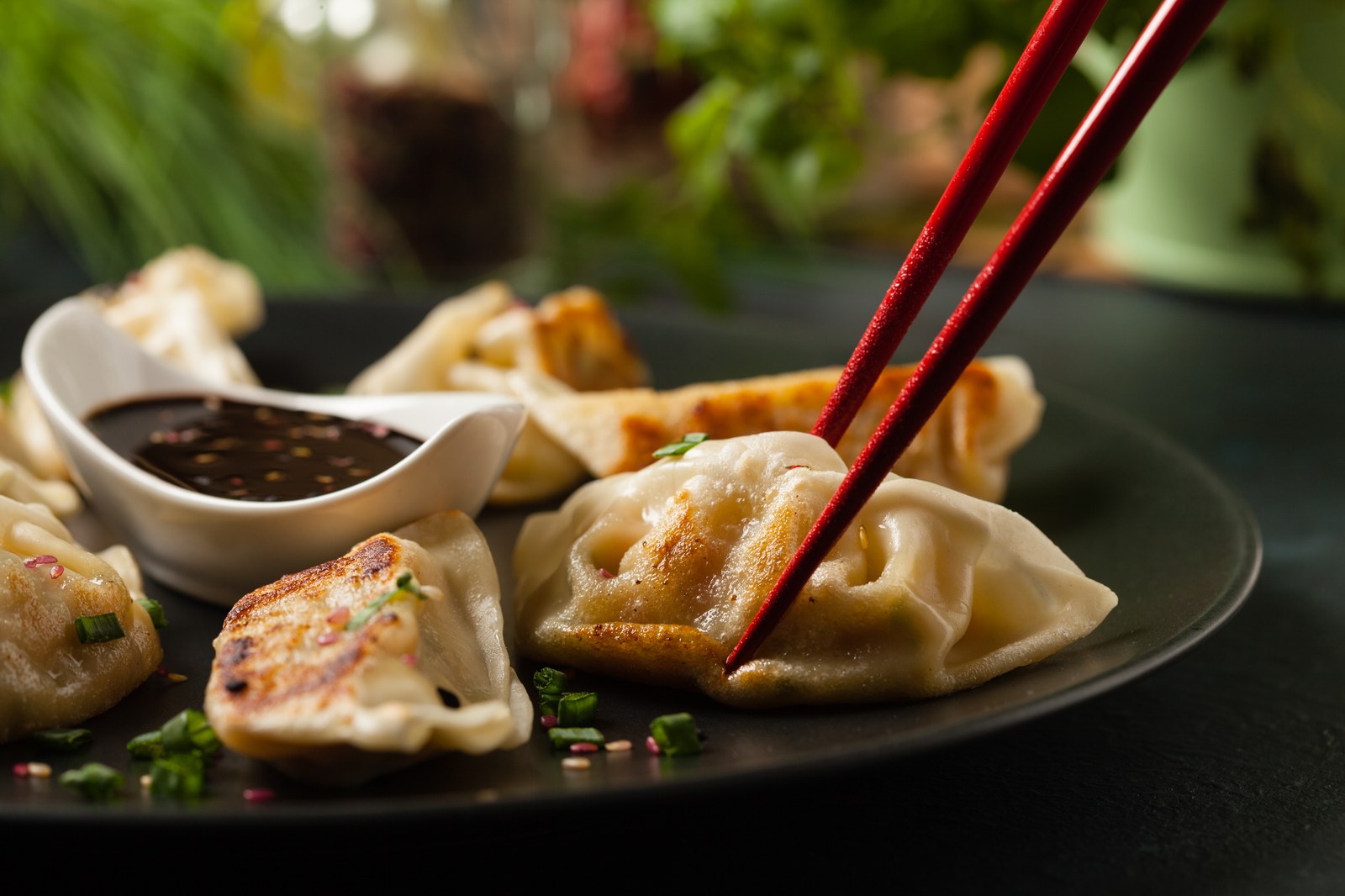 Pan-fried pork dumplings on a dark plate with red chopsticks picking one up and dipping sauce on the side